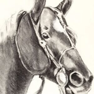 Charcoal Drawings